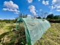 Продава КЪЩА, с. Горно Абланово, област Русе, снимка 13