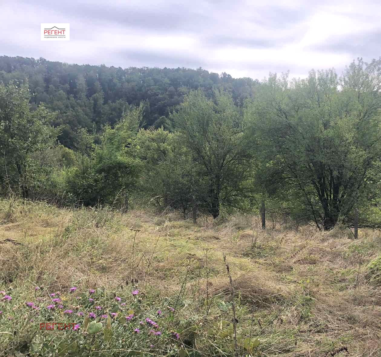 Продава ПАРЦЕЛ, с. Жълтеш, област Габрово, снимка 2 - Парцели - 51651897