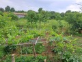 Продава КЪЩА, с. Стефан Караджа, област Варна, снимка 7