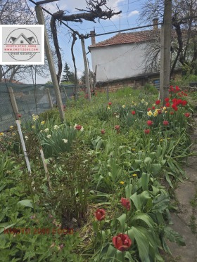 ������� ���� | Imot.bg � ����� ������ 4