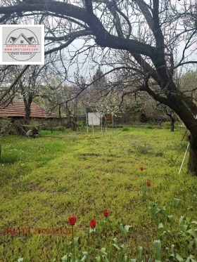 ����� ������� ����,�. ����� �����, ������ ����� ������