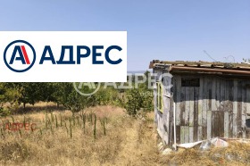 Плот Звездица, Варна