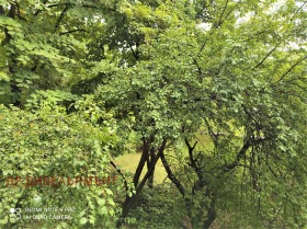  2- | Imot.bg    16