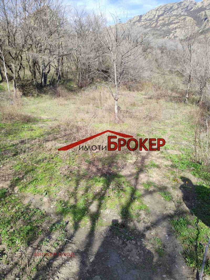 Продава ВИЛА, гр. Сливен, в.з. Сливен, снимка 8 - Вили - 53084240