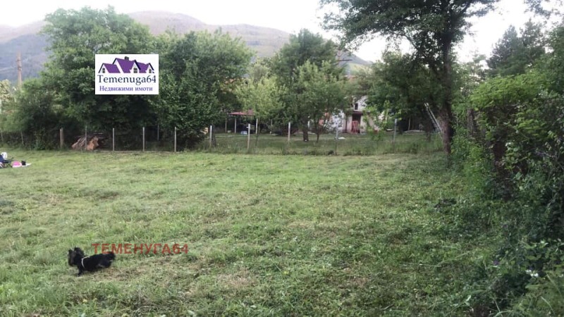 Продава ПАРЦЕЛ, с. Реброво, област София област, снимка 2 - Парцели - 52642608