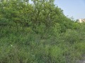 Продава ПАРЦЕЛ, гр. Велико Търново, Бузлуджа, снимка 4