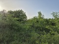 Продава ПАРЦЕЛ, гр. Велико Търново, Бузлуджа, снимка 1