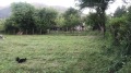 Продава ПАРЦЕЛ, с. Реброво, област София област, снимка 2