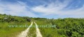Продава ПАРЦЕЛ, област Варна, гр. Бяла • 47900 € • 11961020 — Holmes.bg