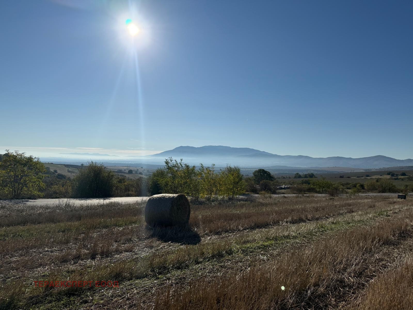 Продава ПАРЦЕЛ | Imot.bg — изображение 7