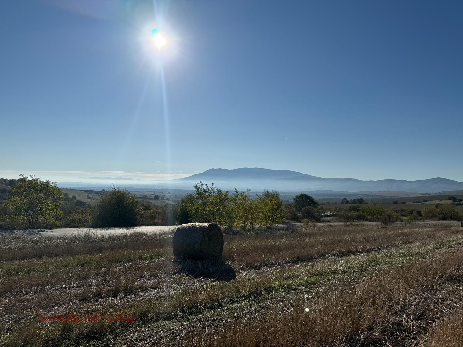 Продава ПАРЦЕЛ | Imot.bg — изображение 5