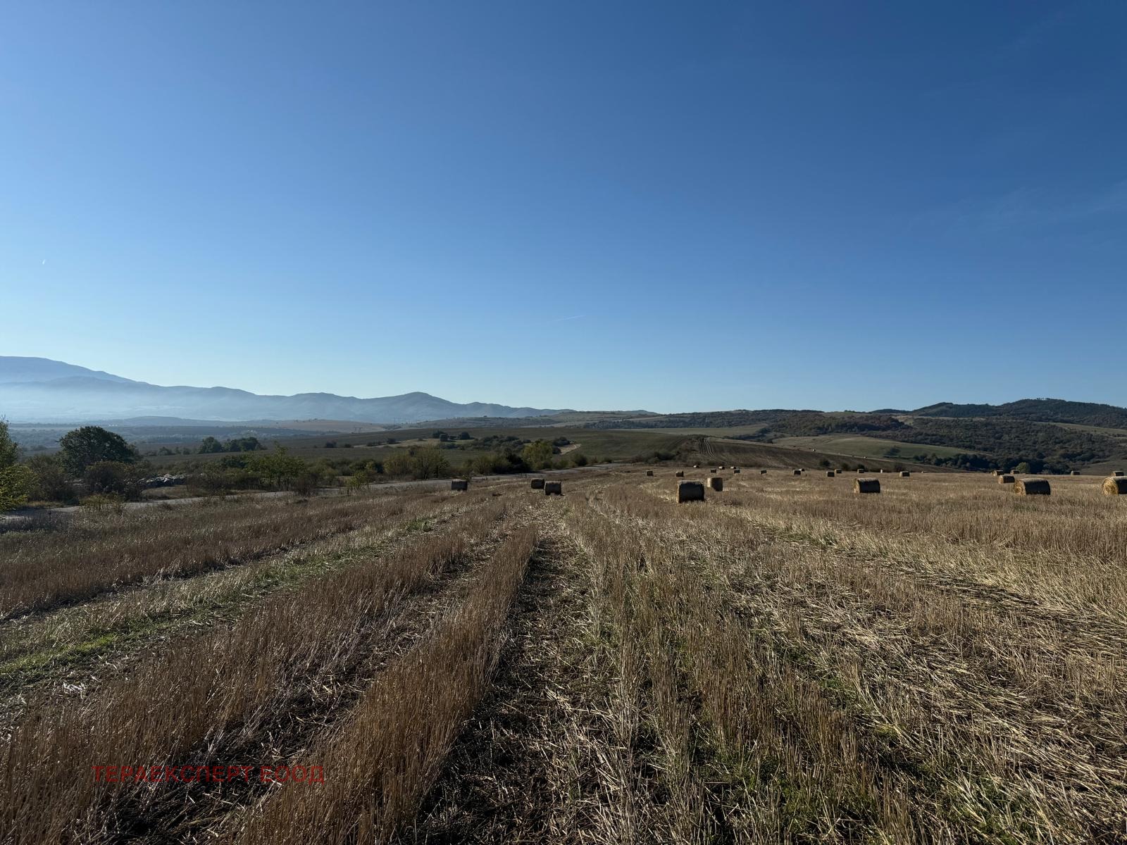 Продава ПАРЦЕЛ | Imot.bg — изображение 1