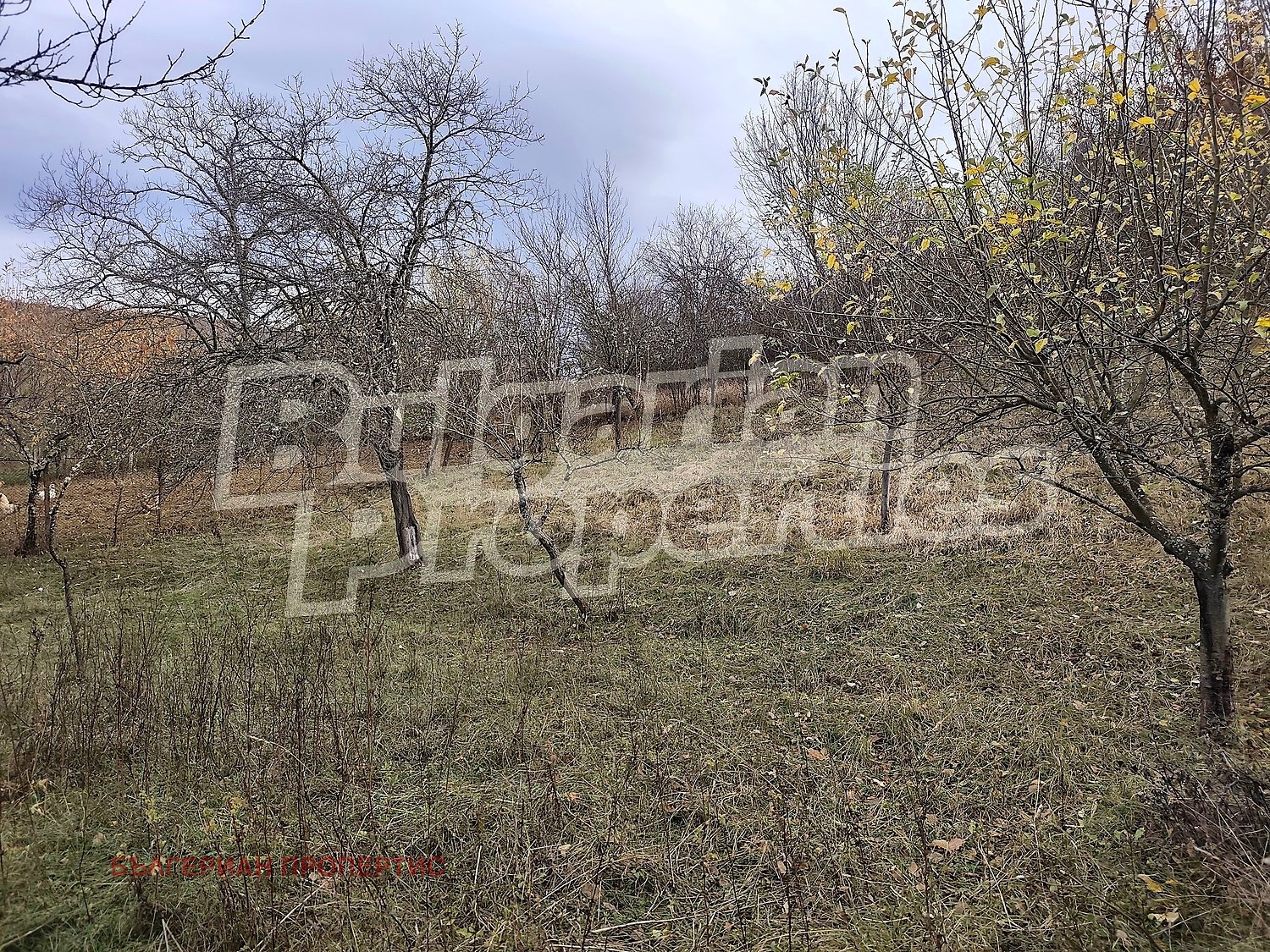 ������� ������ | Imot.bg � ����������� 10
