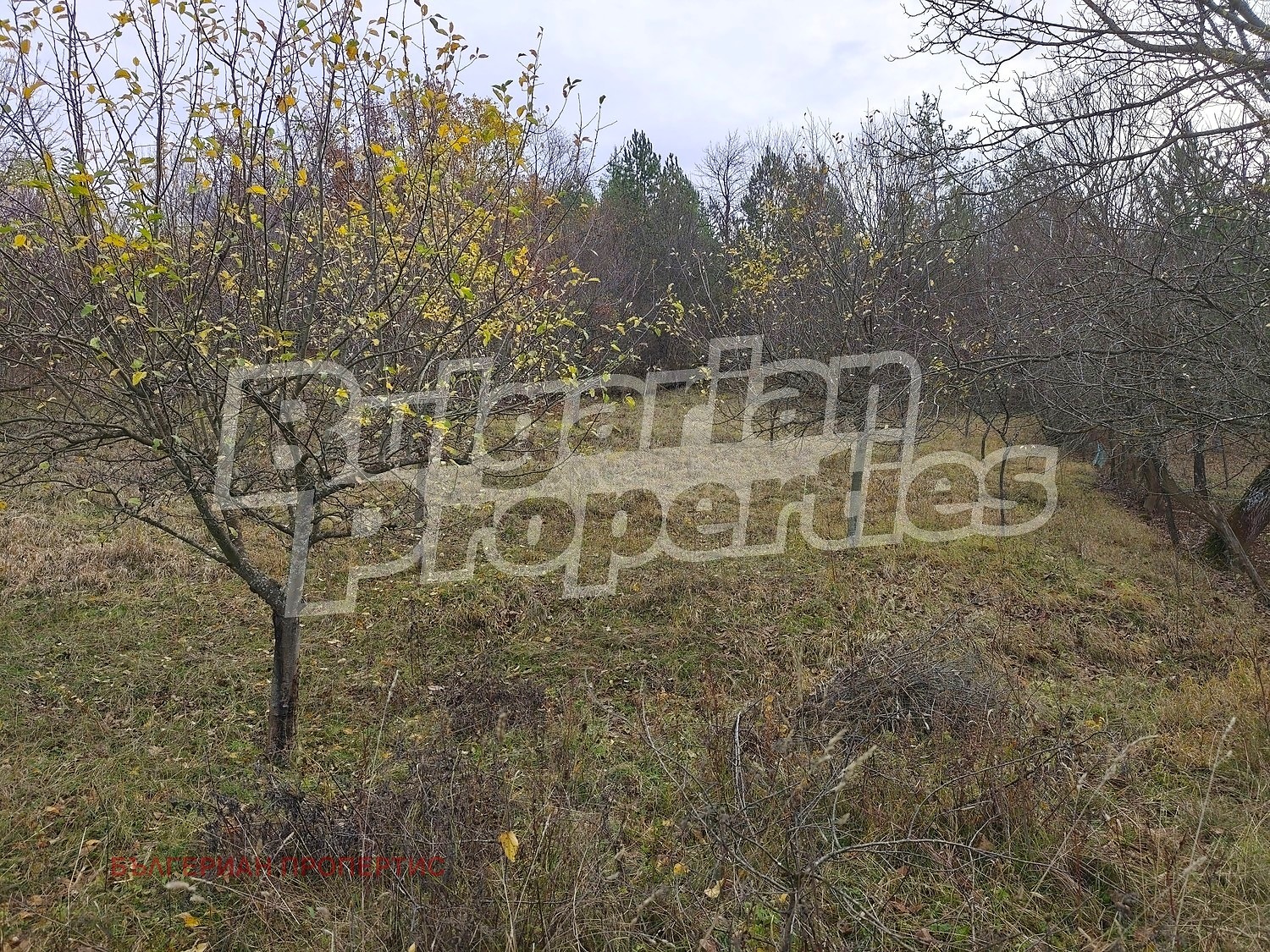 ������� ������ | Imot.bg � ����������� 9