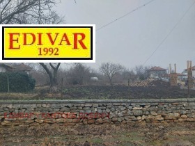 ������ ������� ������