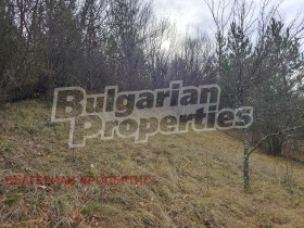 ������� ������ | Imot.bg � ����� ������ 13