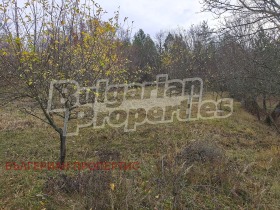 ������� ������ | Imot.bg � ����� ������ 9