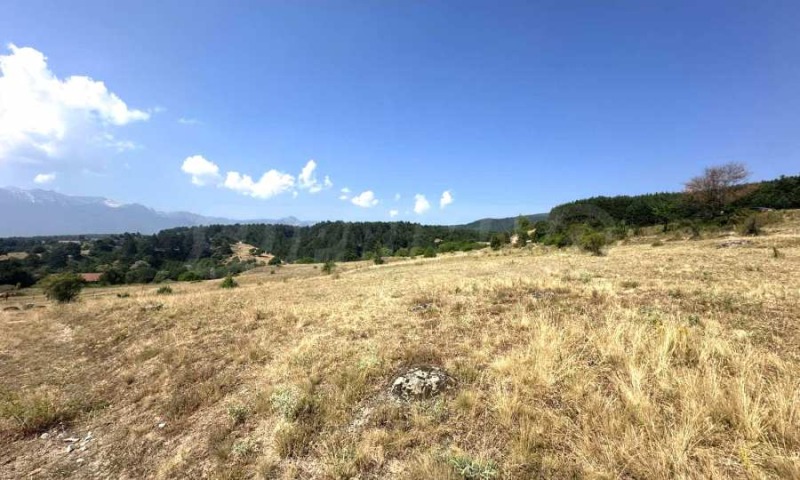 Satılık  Komplo bölge Blagoevgrad , Baçevo , 5556 metrekare | 99847310 - görüntü [6]