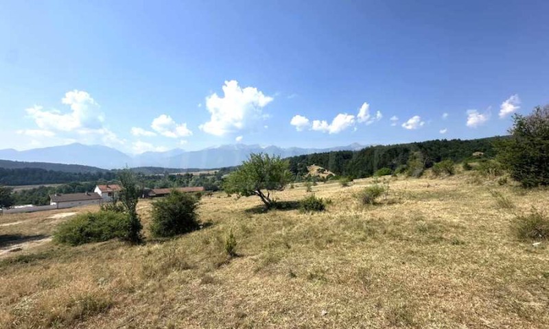 Satılık  Komplo bölge Blagoevgrad , Baçevo , 5556 metrekare | 99847310 - görüntü [5]