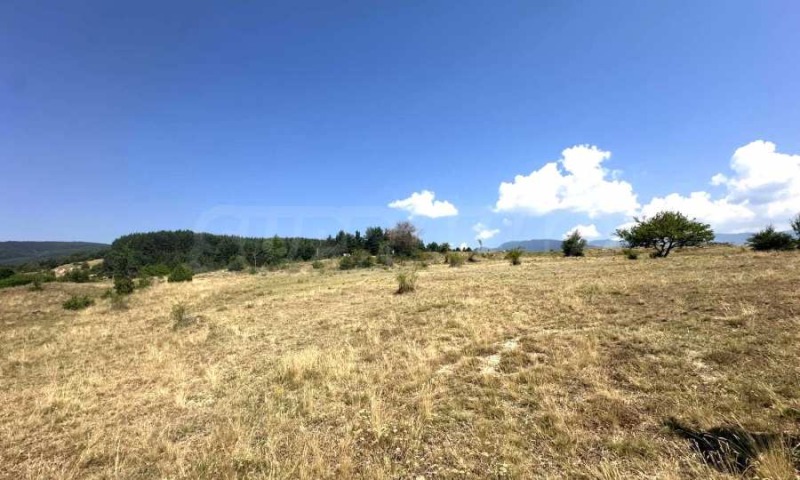 Satılık  Komplo bölge Blagoevgrad , Baçevo , 5556 metrekare | 99847310 - görüntü [8]