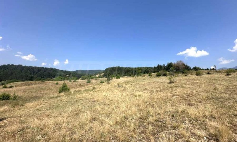 Satılık  Komplo bölge Blagoevgrad , Baçevo , 5556 metrekare | 99847310 - görüntü [7]
