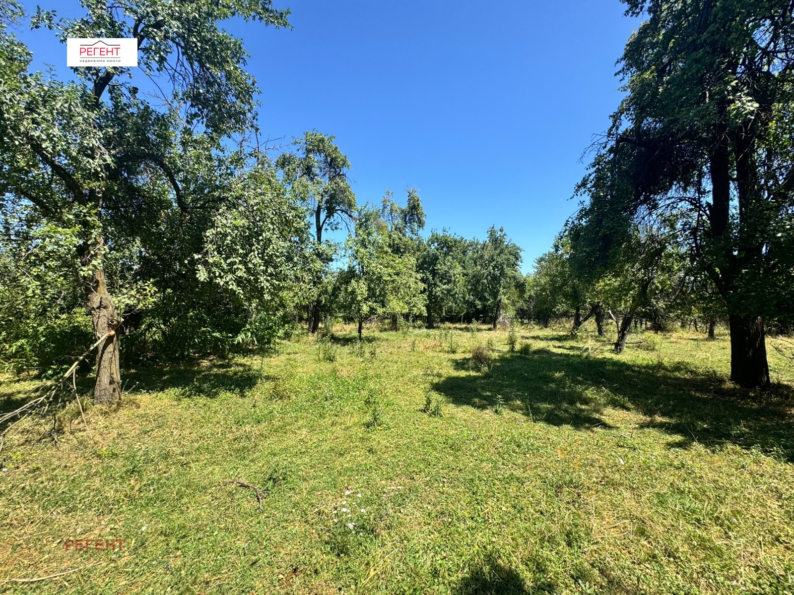 Продава КЪЩА, с. Райновци, област Габрово, снимка 7 - Къщи - 55406273