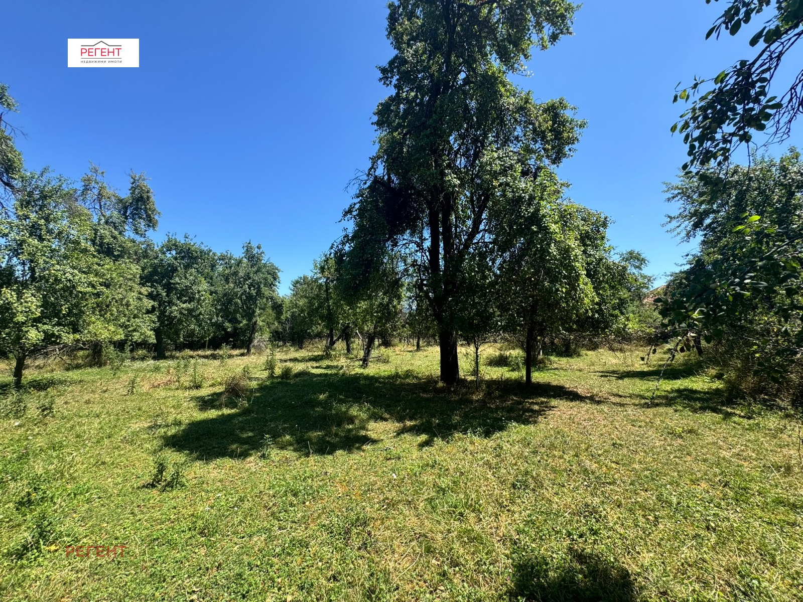 Продава КЪЩА, с. Райновци, област Габрово, снимка 6 - Къщи - 55406273