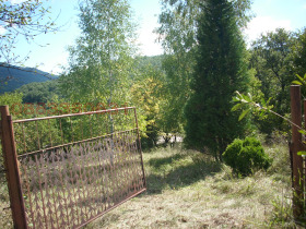 ����� ������� ������,�. ��������, ������ �����