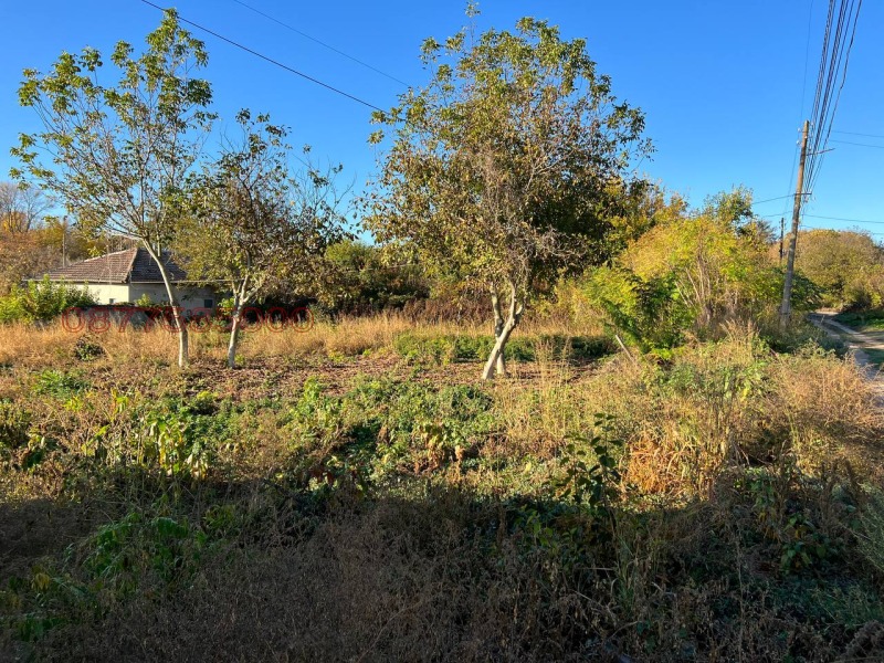 Продава ПАРЦЕЛ, с. Овча могила, област Велико Търново, снимка 4 - Парцели - 52794905