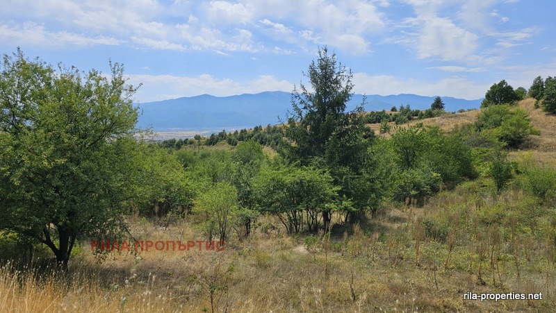 En venta  Trama región Sofia , Gorna Vasilitsa , 2746 metros cuadrados | 20432346 - imagen [4]
