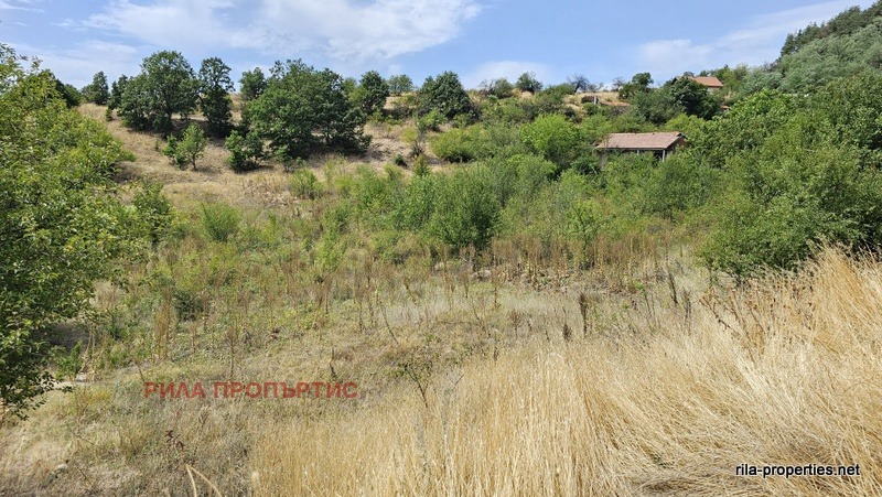 En venta  Trama región Sofia , Gorna Vasilitsa , 2746 metros cuadrados | 20432346 - imagen [3]
