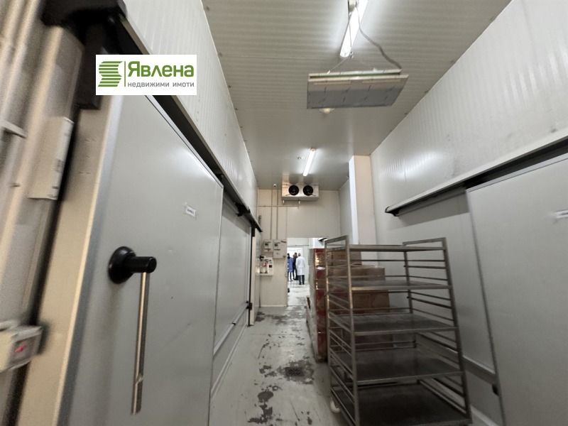 Продава БИЗНЕС ИМОТ, гр. Елин Пелин, област София област, снимка 4 - Други - 50576254