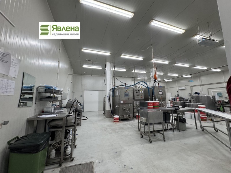 Продава БИЗНЕС ИМОТ, гр. Елин Пелин, област София област, снимка 7 - Други - 50576254