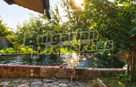 ������� ���� | Imot.bg � ����� ������ 8