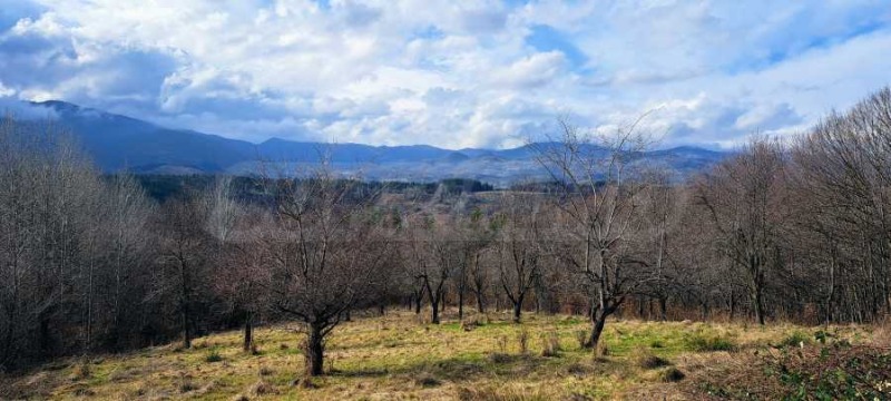 Eladó  Cselekmény régió Lovech , Aprilci , 8300 négyzetméter | 75170761 - kép [3]