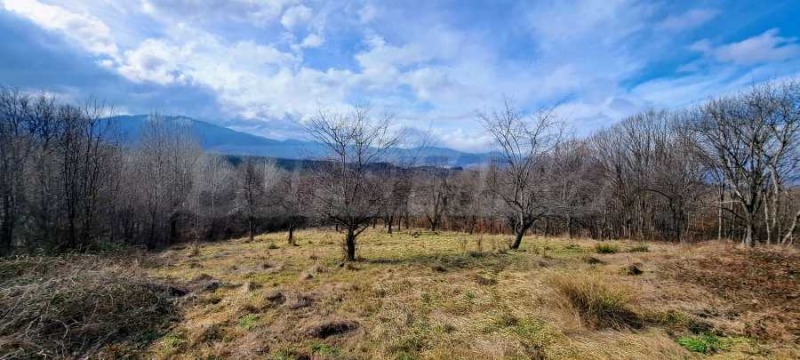 For Sale  Plot region Lovech , Apriltsi , 8300 sq.m | 75170761 - image [5]