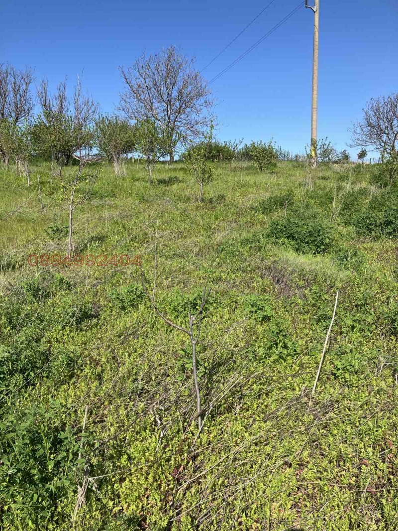 Продава ПАРЦЕЛ, с. Стамболийски, област Хасково, снимка 8 - Парцели - 52956592