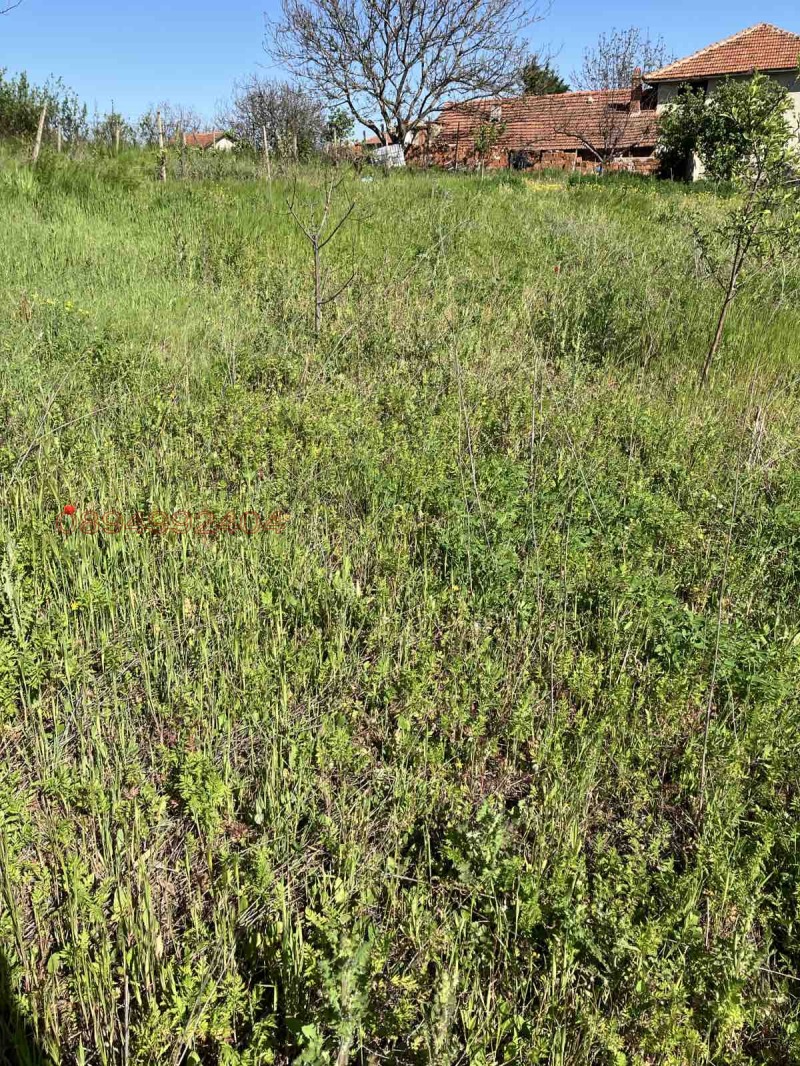 Продава ПАРЦЕЛ, с. Стамболийски, област Хасково, снимка 5 - Парцели - 52956592