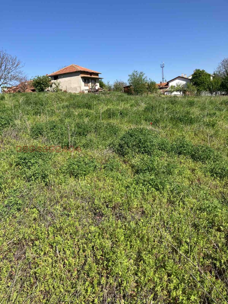 Продава ПАРЦЕЛ, с. Стамболийски, област Хасково, снимка 2 - Парцели - 52956592