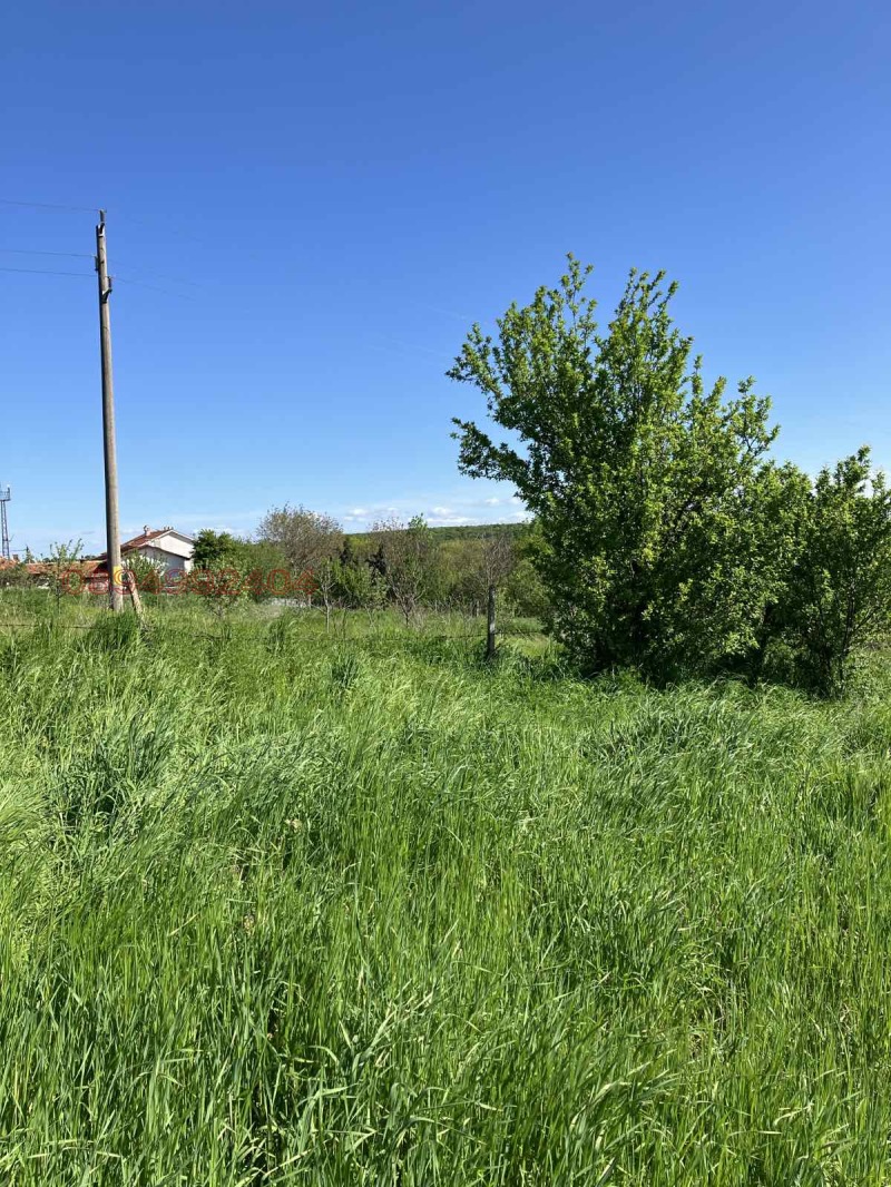 Продава ПАРЦЕЛ, с. Стамболийски, област Хасково, снимка 9 - Парцели - 52956592