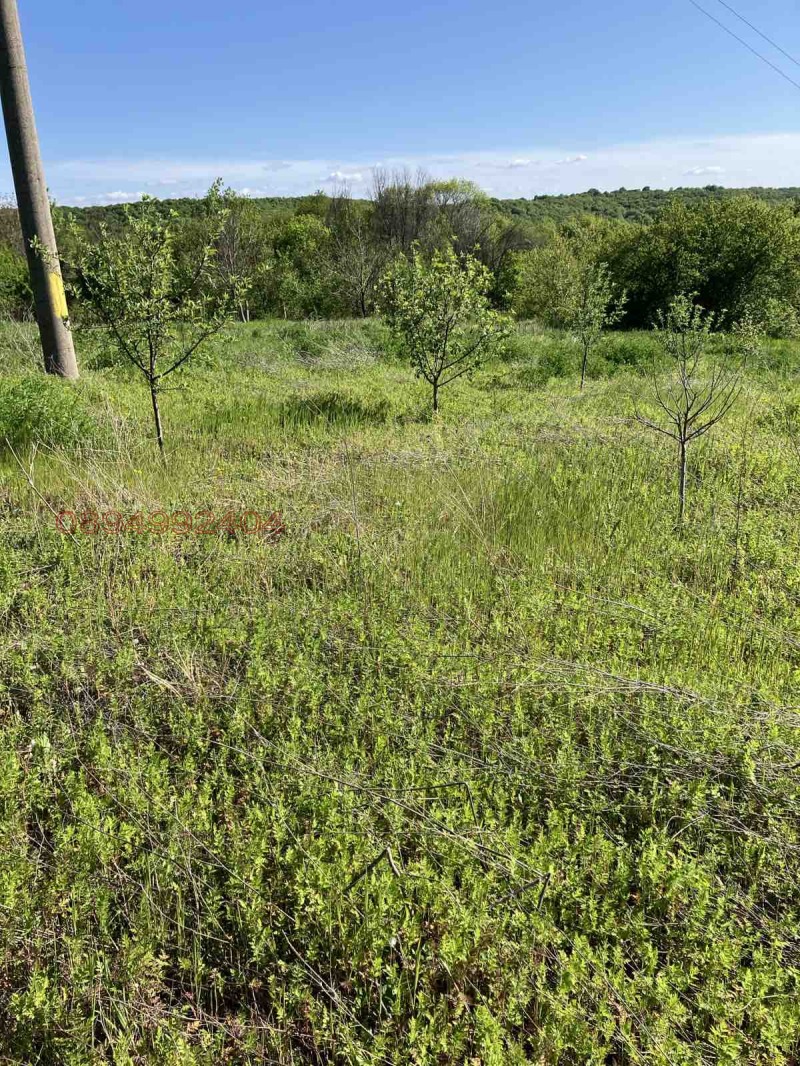 Продава ПАРЦЕЛ, с. Стамболийски, област Хасково, снимка 7 - Парцели - 52956592