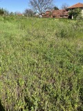 Продава ПАРЦЕЛ, с. Стамболийски, област Хасково, снимка 5
