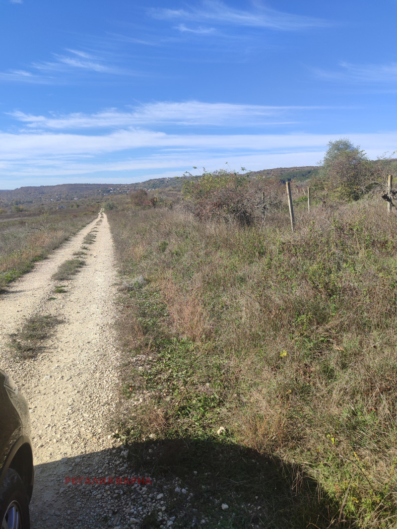 Zu verkaufen  Handlung region Varna , General Kantardschiewo , 1350 qm | 30870295 - Bild [3]