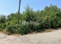 Продава ПАРЦЕЛ, област Велико Търново, с. Добри дял • 12000 € • 41271290 — Holmes.bg