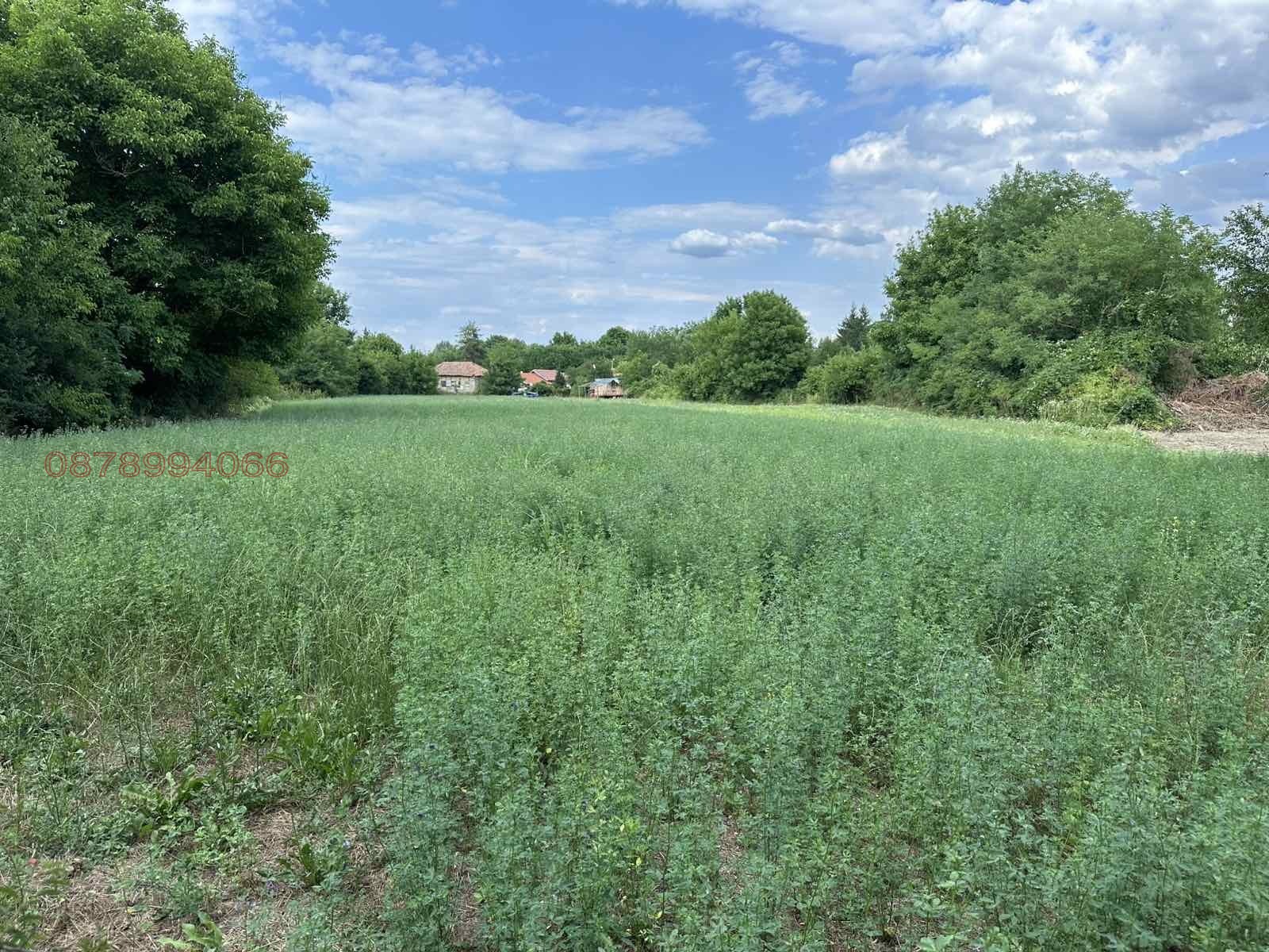 ������� ������ | Imot.bg � ����������� 12