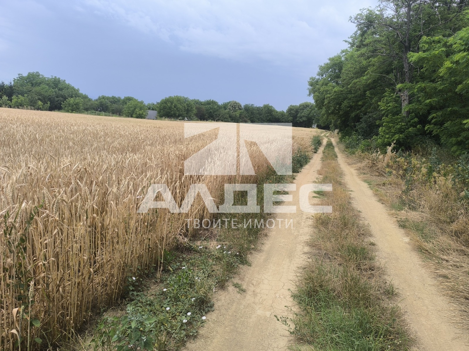 ������� ������ | Imot.bg � ����������� 4
