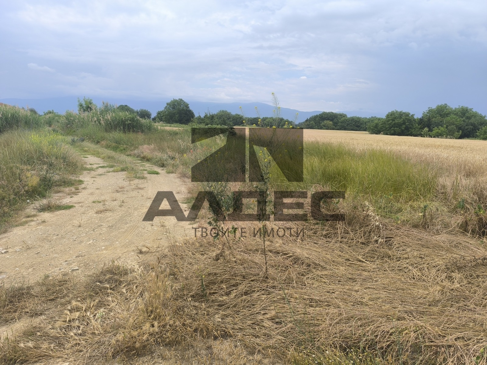 ������� ������ | Imot.bg � ����������� 3