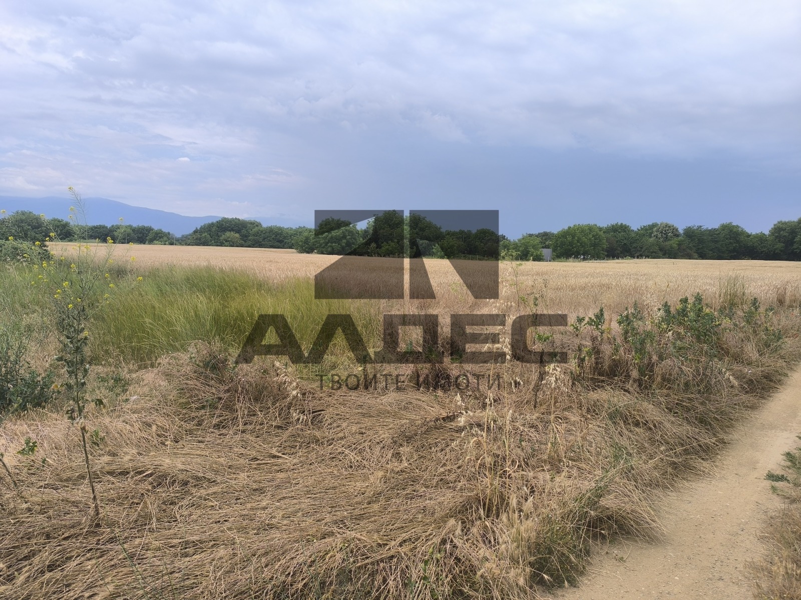 ������� ������ | Imot.bg � ����������� 2