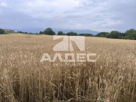 ������� ������ | Imot.bg � ����� ������ 5
