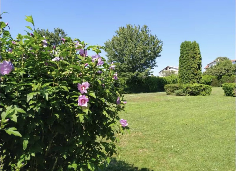 Te koop  Huis regio Dobritsj , Tjulenovo , 120 m² | 18014431